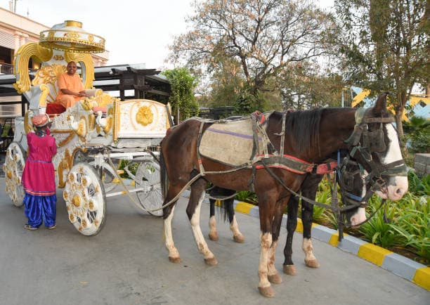 Gettyimages 1208481089 612x612.Jpg